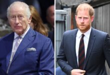 King Charles Sends Firm Message As Prince Harry’s Sandringham Hopes Hit Roadblock