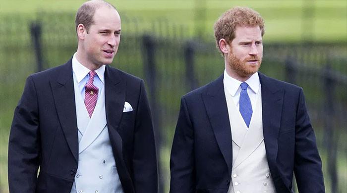 Prince Harry And Prince William’s Ongoing Fight Exposed As Insider Reveals Relationship Is ‘Done’