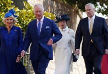 King Charles and Prince William Under Fire As US Lawmakers Demand Andrew Mountbatten Windsor Testimony