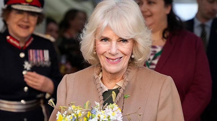 Queen Camilla’s Cherished Wiltshire Retreat Sparks Fresh Debate Amid Andrew's Scandal