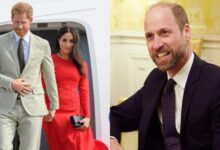 Prince Harry and Meghan Markle Make Bold Offer To Prince William Amid Shocking Scandal