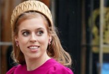 Princess Beatrice May Step In As Counsellor Of State During King Charles Absence
