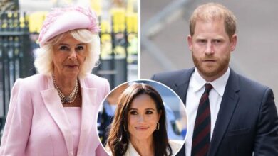 Queen Camilla Sends Subtle Warning To Meghan Markle As Prince Harry Faces Royal Pressure
