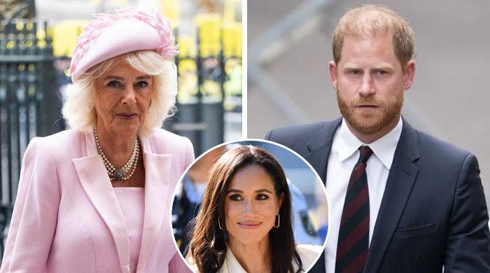 Queen Camilla Sends Subtle Warning To Meghan Markle As Prince Harry Faces Royal Pressure
