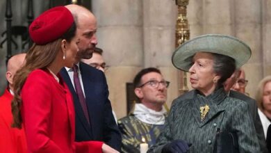 Princess Anne Reportedly Frustrated With Prince William and Kate Middleton Over Royal Changes