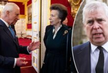 King Charles Reportedly Moves To Protect Andrew After Princess Anne Intervention