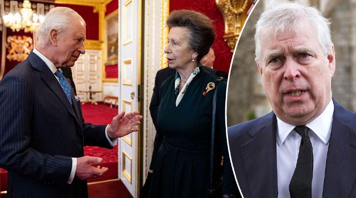 King Charles Reportedly Moves To Protect Andrew After Princess Anne Intervention