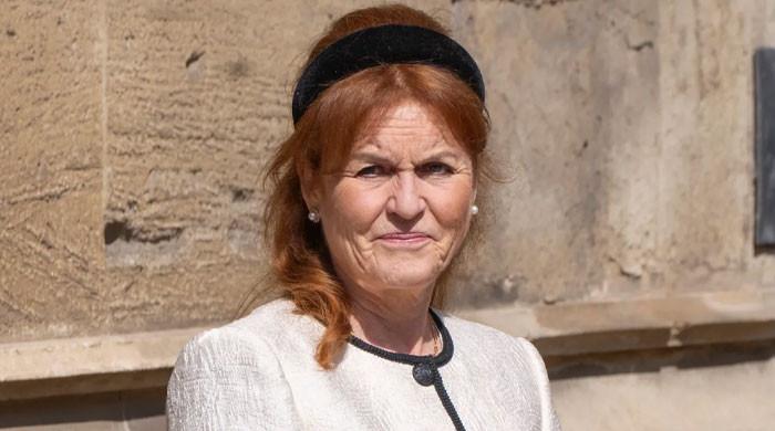 Sarah Ferguson Offered Shock Reality TV Lifeline As York Family Controversy Grows