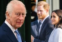 King Charles and Royal Family Raise Questions Over Prince Harry and Meghan Markle Announcement