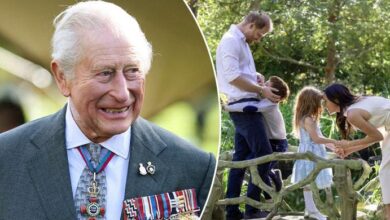 Prince Harry Hopes Archie and Lilibet Will Heal Royal Rift With King Charles