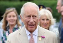 King Charles Faces Royal Backlash As Prince Harry and Andrew Handling Sparks Internal Criticism