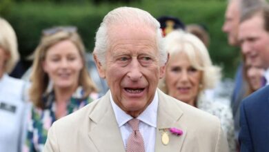 King Charles Faces Royal Backlash As Prince Harry and Andrew Handling Sparks Internal Criticism