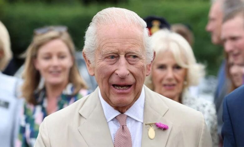 King Charles Faces Royal Backlash As Prince Harry and Andrew Handling Sparks Internal Criticism