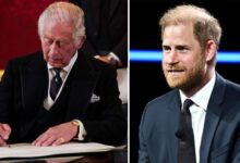 King Charles Sends Heartfelt Letter As Prince Harry Seeks Sandringham Invitation