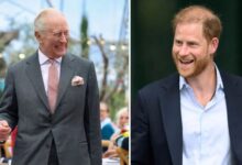 King Charles and Prince Harry US Meeting Buzz Grows As Feud Rumours Addressed