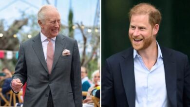 King Charles and Prince Harry US Meeting Buzz Grows As Feud Rumours Addressed