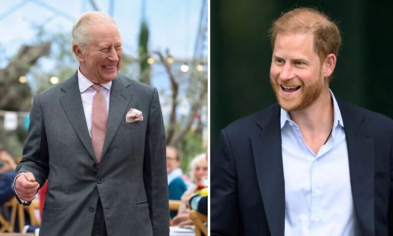King Charles and Prince Harry US Meeting Buzz Grows As Feud Rumours Addressed