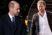 Royal Family Faces Fresh Dilemma As Prince William and Prince Harry Rift Impacts Key Wedding