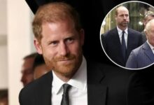 Prince Harry Reportedly Clashes With Meghan Markle As He Tries To Reconnect With Prince William