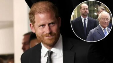 Prince Harry Reportedly Clashes With Meghan Markle As He Tries To Reconnect With Prince William