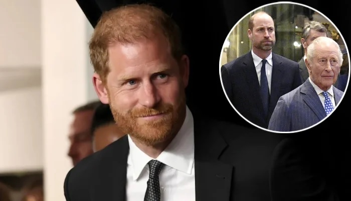 Prince Harry Reportedly Clashes With Meghan Markle As He Tries To Reconnect With Prince William