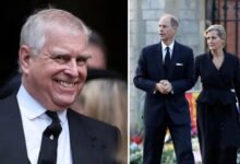 Andrew Moves Spark Royal Clash As Prince Edward And Duchess Sophie Face Unexpected Setback