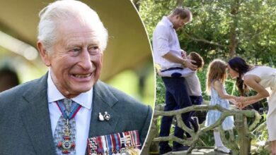 Prince Archie and Princess Lilibet Could Reunite With King Charles As Prince Harry Hope Reunion