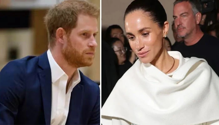 Prince Harry and Meghan Markle Face Fresh Warning After Hollywood Party Drama