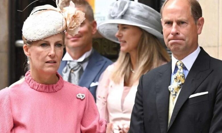 Prince William Makes Emotional Appeal To Duchess Sophie As Future Royal Plans Take Shape