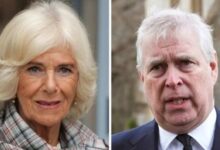 Queen Camilla’s Past Clash With Andrew Resurfaces As Role In Title Fallout Revealed