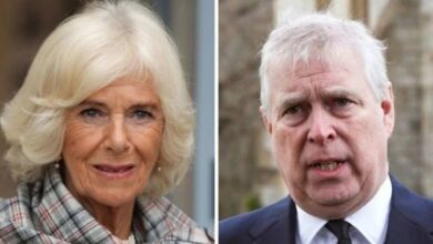 Queen Camilla’s Past Clash With Andrew Resurfaces As Role In Title Fallout Revealed