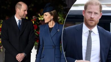 Prince William and Kate Middleton Take Prince Harry Warning Seriously To Protect Their Children