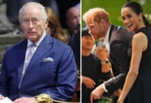 Buckingham Palace Issues Statement As Prince Harry And Meghan Markle Stir Global Buzz