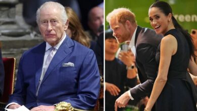 Buckingham Palace Issues Statement As Prince Harry And Meghan Markle Stir Global Buzz