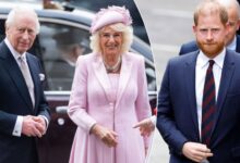 Queen Camilla Reportedly Blocks Prince Harry Comeback As Royal Rift Deepens