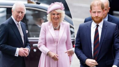 Queen Camilla Reportedly Blocks Prince Harry Comeback As Royal Rift Deepens