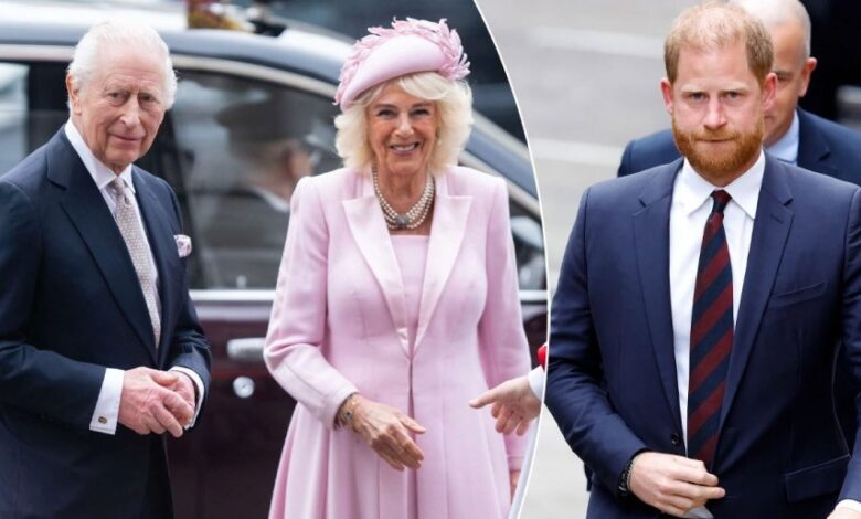 Queen Camilla Reportedly Blocks Prince Harry Comeback As Royal Rift Deepens