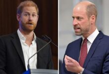 Prince Harry Speaks On Betrayal And Grief As Prince William Reportedly Blocks Royal Return