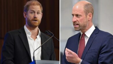 Prince Harry Speaks On Betrayal And Grief As Prince William Reportedly Blocks Royal Return