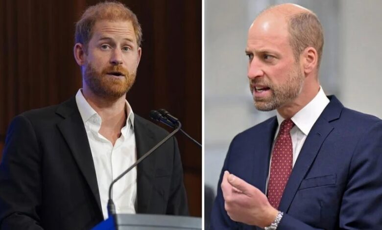 Prince Harry Speaks On Betrayal And Grief As Prince William Reportedly Blocks Royal Return
