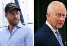 Prince Harry Quickly Corrects Comment Amid King Charles Truce Talks