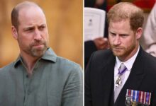 Prince William Rejects Prince Harry’s Royal Return Hopes With Firm No Extra Royals Stance
