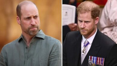 Prince William Rejects Prince Harry’s Royal Return Hopes With Firm No Extra Royals Stance