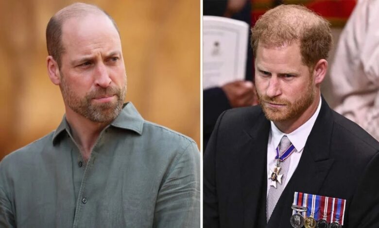Prince William Rejects Prince Harry’s Royal Return Hopes With Firm No Extra Royals Stance