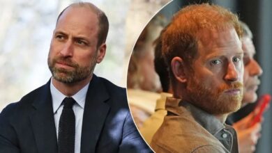 Prince William May Finally Soften Toward Prince Harry As Emotional Strain Grows