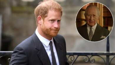 Prince Harry Speaks Out With Powerful Message As King Charles Reveals Firm’s Inner Circle Without Sussexes