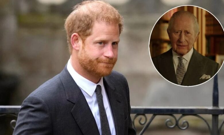 Prince Harry Speaks Out With Powerful Message As King Charles Reveals Firm’s Inner Circle Without Sussexes