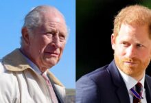 Prince Harry Risks King Charles Reunion With Fiery Response To Explosive Claims
