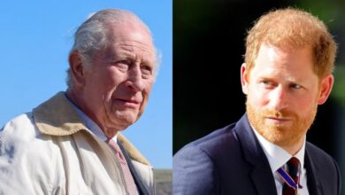 Prince Harry Risks King Charles Reunion With Fiery Response To Explosive Claims