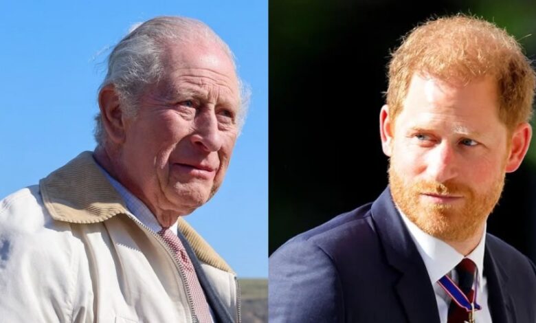 Prince Harry Risks King Charles Reunion With Fiery Response To Explosive Claims